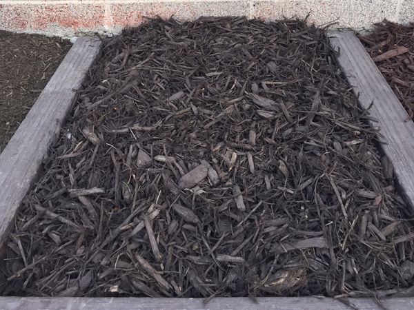 Chocolate brown mulch for flower beds