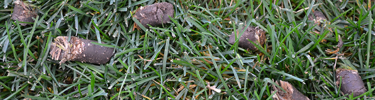 Aeration done by Lawn Care MVP
