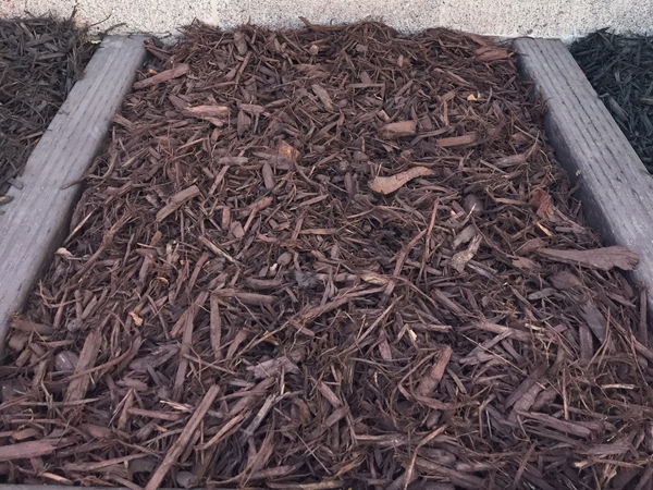 Dark brown mulch