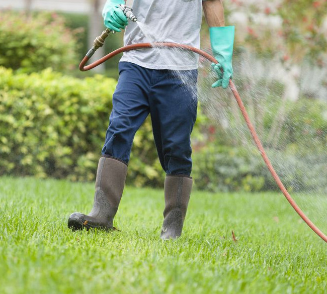 Fertilizer and weed control