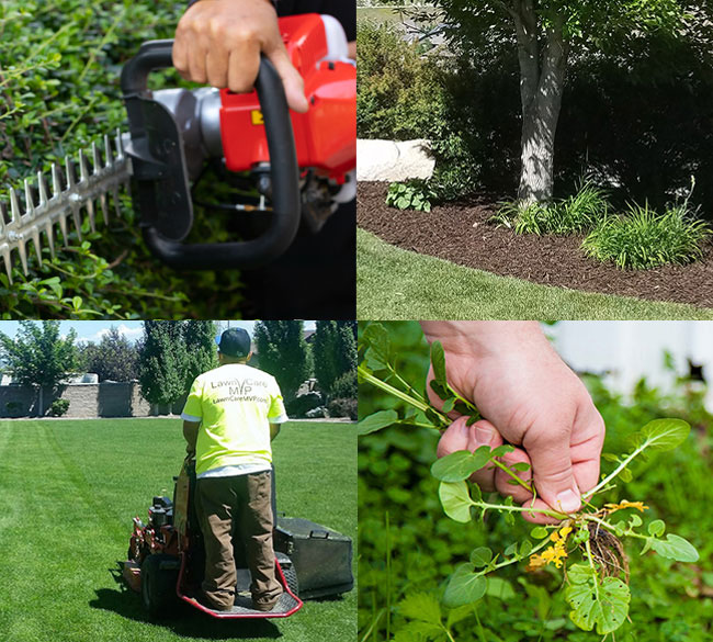 All lawn care services