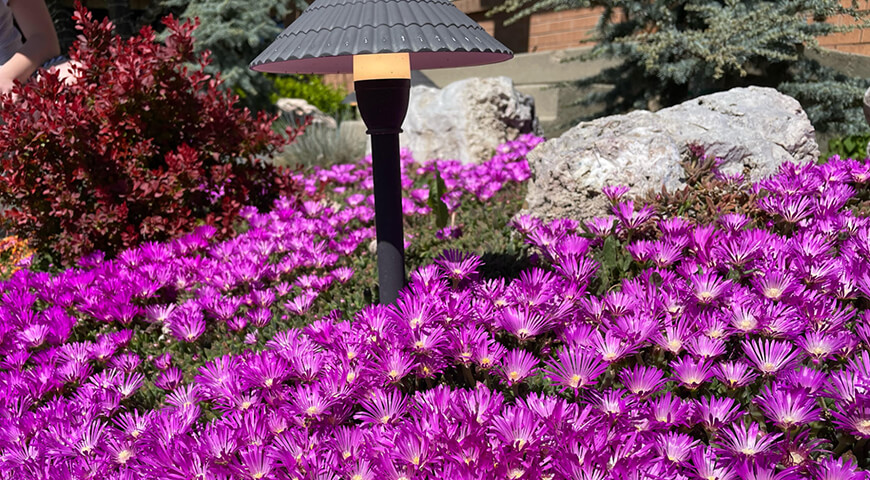 Outdoor lighting and planting landscaping by Lawn Care MVP
