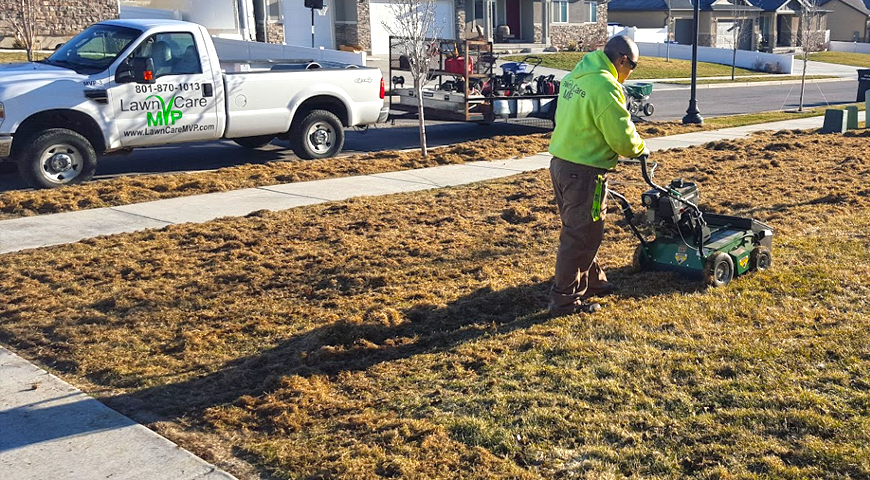 Power on sale rake lawn